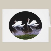 Card - Swans at Heronwood