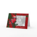 Card Template - Christmas Cardinal