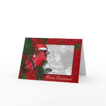 Card Template - Christmas Cardinal