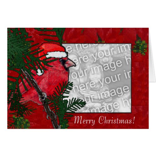 Card Template - Christmas Cardinal