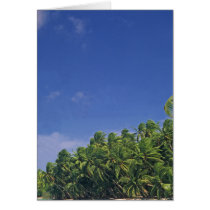 Card, the Shoreline of Pukapuka.