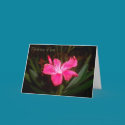 Card - Thinking of you by unclechuckstoys Card - Thinking of you