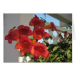 Card to Comfort a Bereaved Person on a Special Day cards