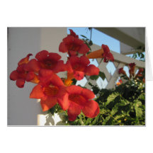 Card to Comfort a Bereaved Person on a Special Day