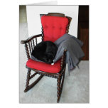 Card-Tuxedo Cat Lying on Man's Suit Coat cards