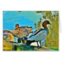 Card Two Wild Ducks