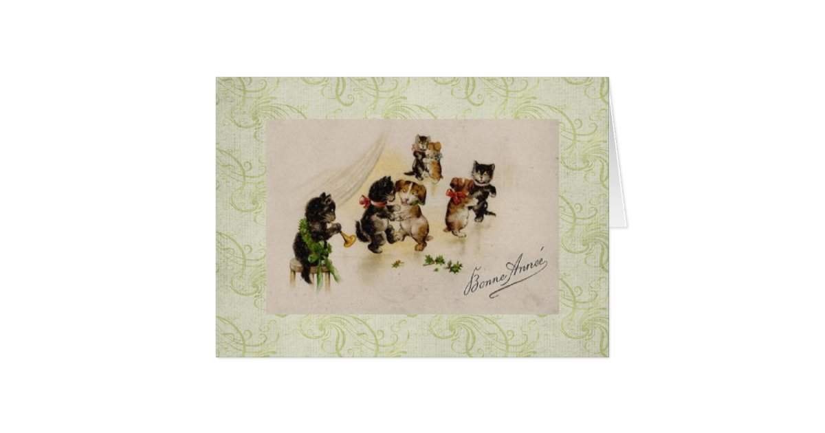 Days Of Christmas Cats And Dogs Days Of Christmas Cats And Dogs