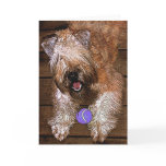 Card: "Wanna Play?"