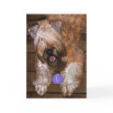 Card: "Wanna Play?" by wheatenterrier Card: "Wanna Play?"