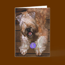 Card: "Wanna Play?"