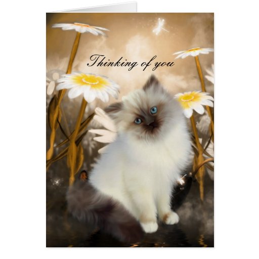 Card White Cat Kitten Flowers "Thinking of you" Zazzle