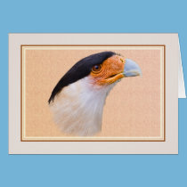 Card with Crested Caracara cards