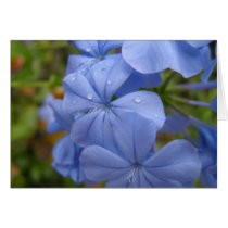 Card with lovely Periwinkle color Flower