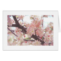 card with photo of blossoming tree branch by kawyle card with photo of blossoming tree branch