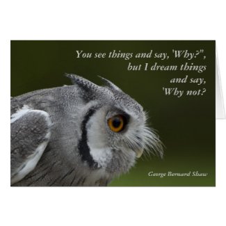 Card with Quote - Baby Grey Owl