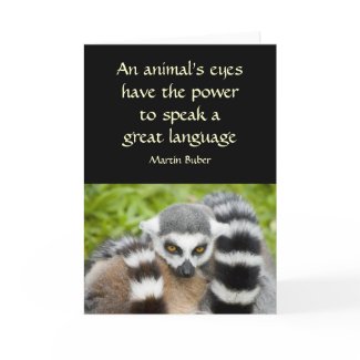 Card with Quote - Cute Lemur Stripey Tail card