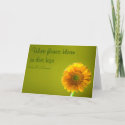 Card with Quote - Yellow Daisy Gerbra Flower card