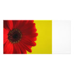 Card with red flower photo cards