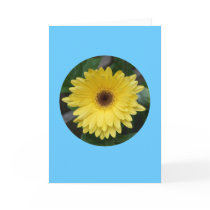Card, "Yellow Gerber Daisy in Circle" C-1