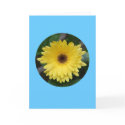 Card, "Yellow Gerber Daisy in Circle" C-1 by Florabunda Card, "Yellow Gerber Daisy in Circle" C-1