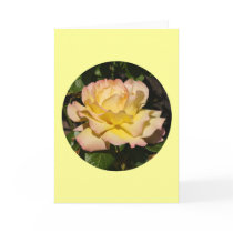 Card, Yellow Pink Blush Rose" P-1