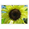 Card - Yellow Sunflower