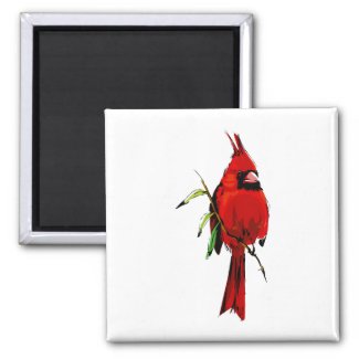Cardan Cardinal magnet