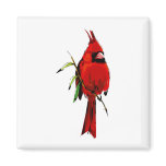 Cardan Cardinal Refrigerator Magnets