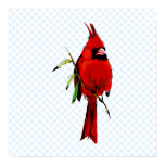 Cardan Cardinal Posters