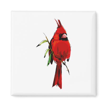 Cardan Cardinal Refrigerator Magnets