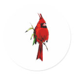 Cardan Cardinal Round Stickers