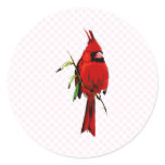 Cardan Cardinal Stickers