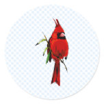 Cardan Cardinal Round Sticker