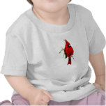 Cardan Cardinal Tee Shirts