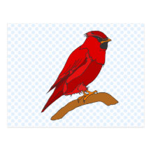 Cardenal del carmín postal