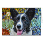 Cardigan Welsh Corgi