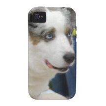 cardigan-welsh-corgi-4.jpg iPhone 4 cover
