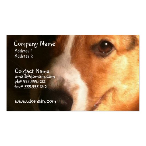 Cardigan Welsh Corgi Dog Business Card (front side)