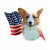 4th, of, july, cardigan, welsh, corgi, 4th, of,