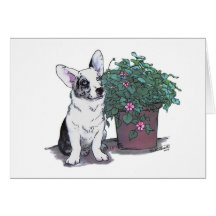 Cardigan Welsh Corgi Notecard  ~  Blue Merle