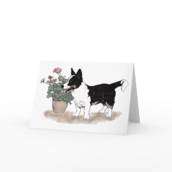 Cardigan Welsh Corgi Notecard ~ Tricolor card