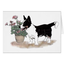 Cardigan Welsh Corgi Notecard  ~  Tricolor