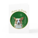 Cardigan Welsh Corgi Peace
