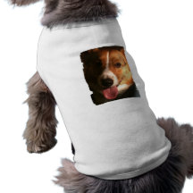 Cardigan Welsh Corgi Pet Shirt