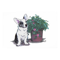 Cardigan Welsh Corgi Print ~ Blue Merle by Classic_Cat Cardigan Welsh Corgi Print ~ Blue Merle