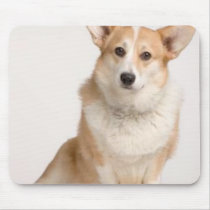 Cardigan Welsh Mousepad mousepads