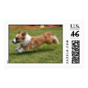 Cardigans can Fly postage by pembrokewcorgi Cardigans can Fly postage