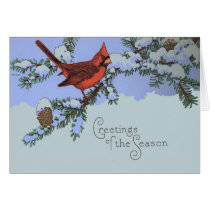 Cardinal by IdahoHistorical Cardinal