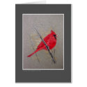 Cardinal by pawtraitart Cardinal