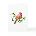 Cardinal
